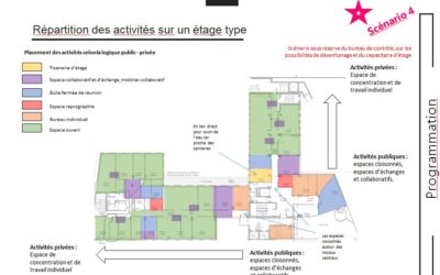 ETUDE DE FAISABILITE